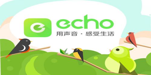 葱花原来真的是花